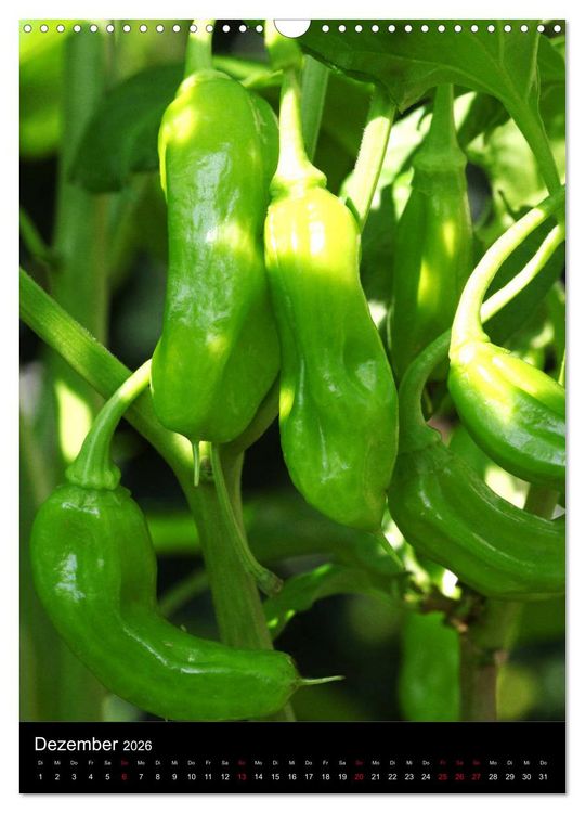 Produktbild: Chilis - H&ouml;llisch scharfe Fr&uuml;chtchen (Wandkalender 2026 DIN A3 hoch), CALVENDO Monatskalender