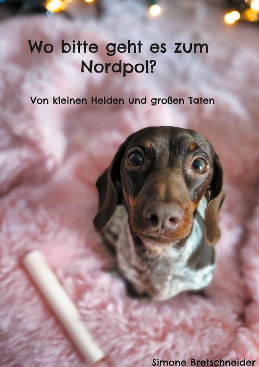 Produktbild: Wo bitte geht es zum Nordpol?