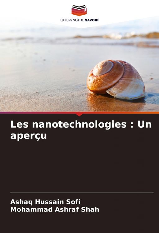 Produktbild: Les nanotechnologies : Un aper&ccedil;u