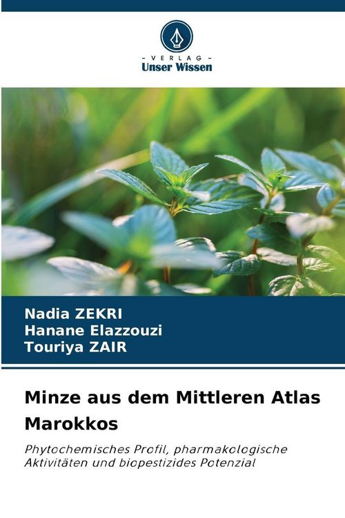 Produktbild: Minze aus dem Mittleren Atlas Marokkos