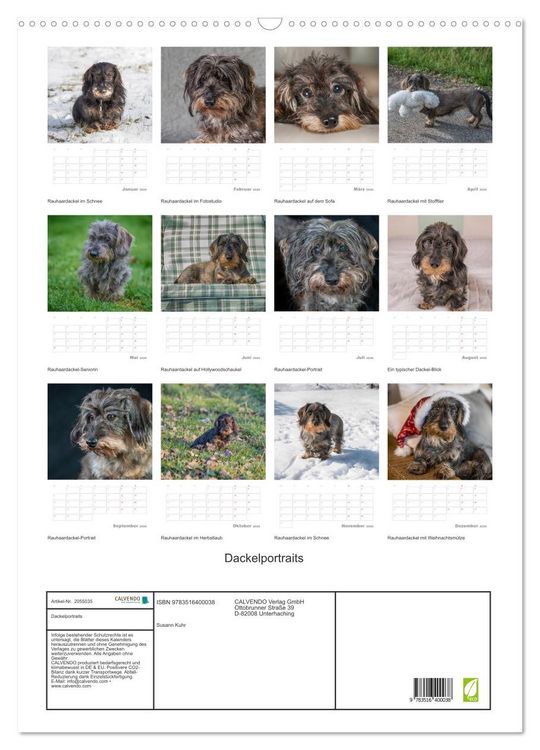 Produktbild: Dackelportraits (Wandkalender 2026 DIN A2 hoch), CALVENDO Monatskalender