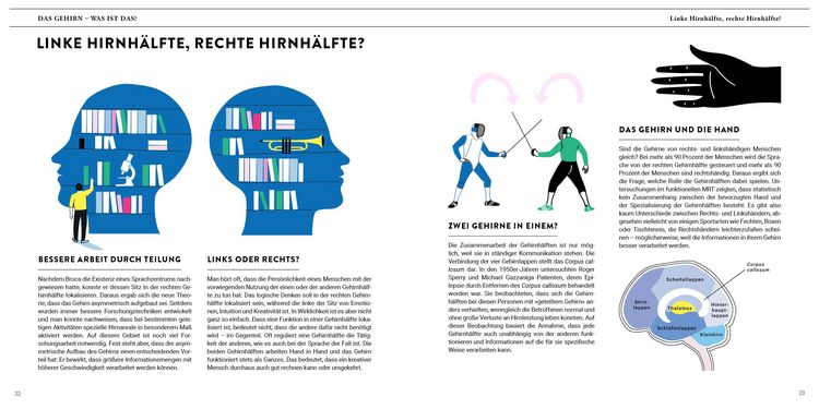 Produktbild: Eine Reise durch unser Gehirn