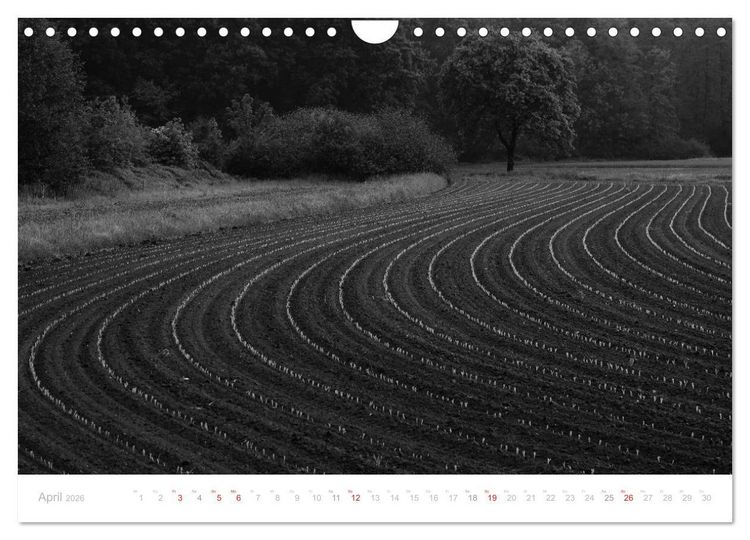 Produktbild: Mystischer Schwarzwald (Wandkalender 2026 DIN A4 quer), CALVENDO Monatskalender