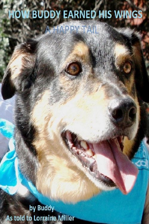 Produktbild: How Buddy Earned His WingsA Happy Tail