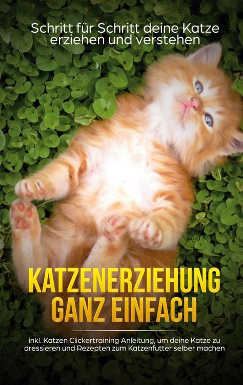 Produktbild: Katzenerziehung ganz einfach: Schritt f&uuml;r Schritt deine Katze erziehen und verst