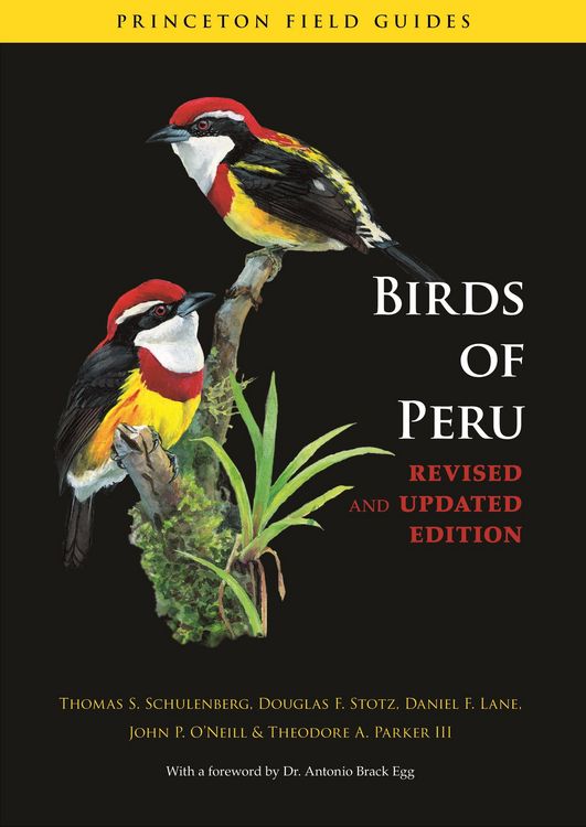 Produktbild: Birds of Peru