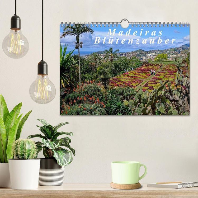 Produktbild: Madeiras Bl&uuml;tenzauber (Wandkalender 2026 DIN A4 quer), CALVENDO Monatskalender