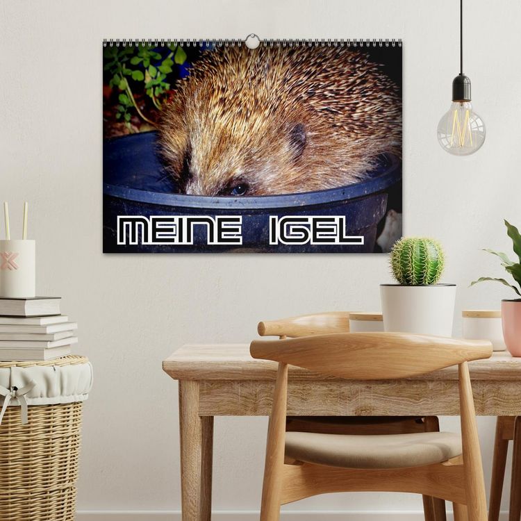 Produktbild: Meine Igel (Wandkalender 2026 DIN A3 quer), CALVENDO Monatskalender