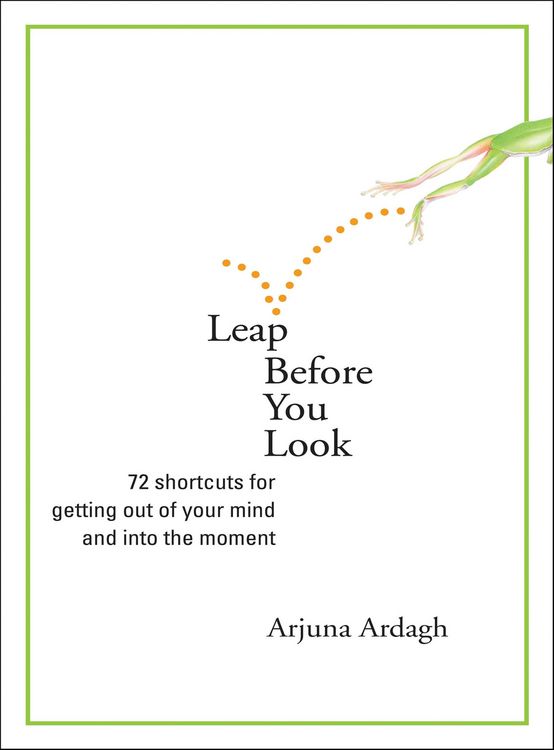 Produktbild: Leap Before You Look