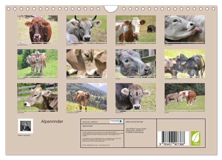 Produktbild: Alpenrinder (Wandkalender 2026 DIN A4 quer), CALVENDO Monatskalender