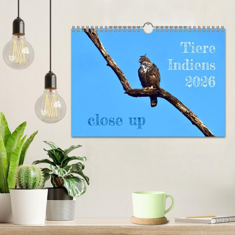 Produktbild: Tiere Indiens close up (Wandkalender 2026 DIN A4 quer), CALVENDO Monatskalender
