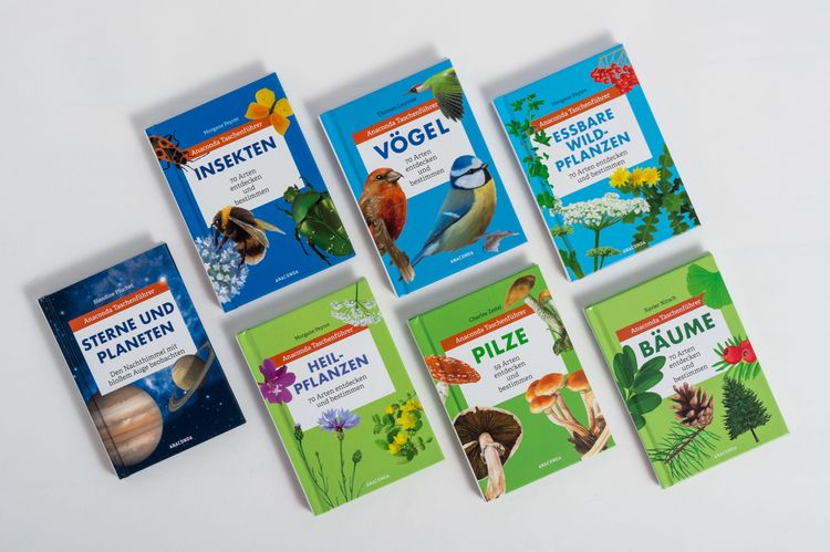 Produktbild: Anaconda Taschenf&uuml;hrer B&auml;ume. 70 Arten entdecken und bestimmen -
