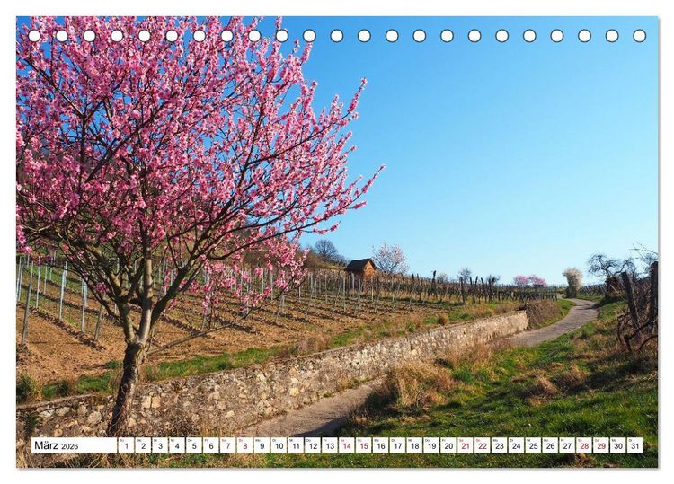 Produktbild: Liebliche Bergstra&szlig;e - Burgen, Wein und Fachwerk (Tischkalender 2026 DIN A5 quer), CALVENDO Monatskalender