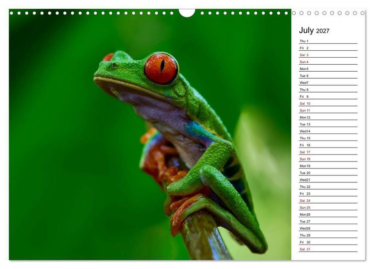 Produktbild: Feel the Wild &ndash; Costa Rica (Wall Calendar 2027 DIN A3 landscape), CALVENDO 12 Month Wall Calendar