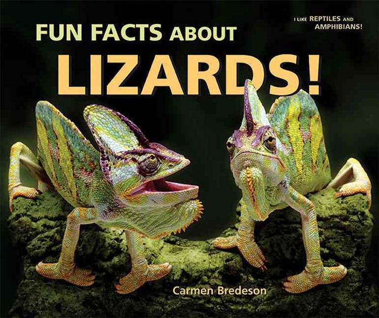 Produktbild: Fun Facts about Lizards!