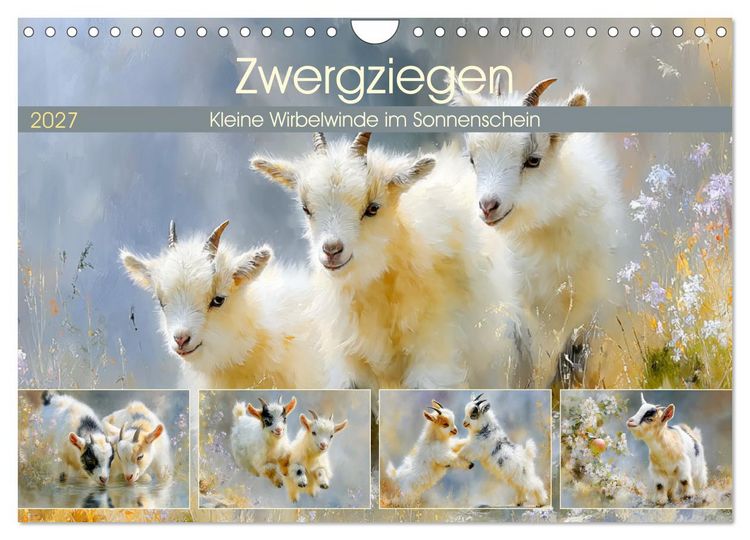 Produktbild: Zwergziegen. Kleine Wirbelwinde im Sonnenschein (Wandkalender 2027 DIN A4 quer), CALVENDO Monatskalender