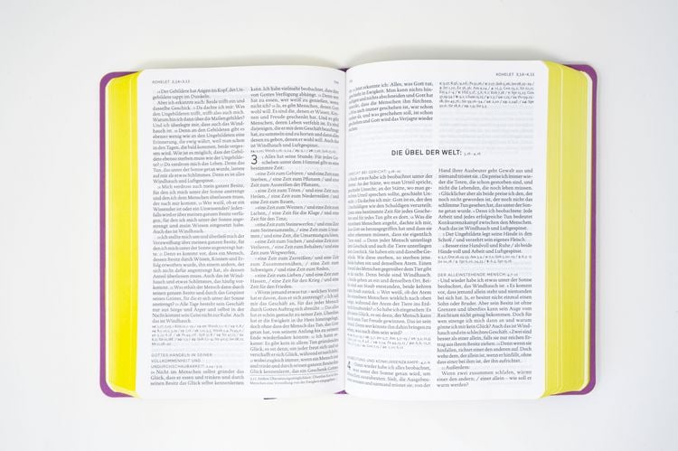 Produktbild: Die Bibel. Senfkorn, Handschmeichler lila