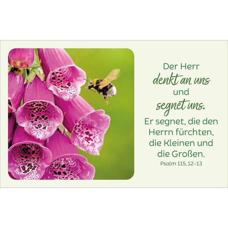 Produktbild: Bl&uuml;tenreiche Bibelverse