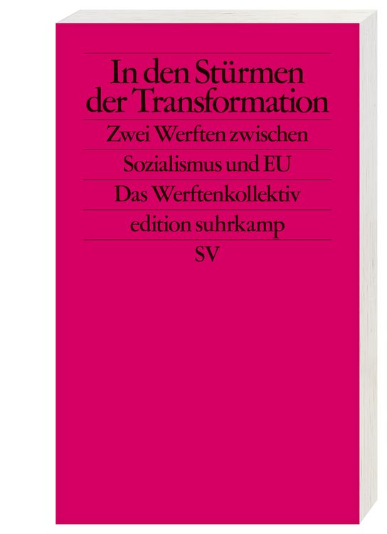 Produktbild: In den St&uuml;rmen der Transformation