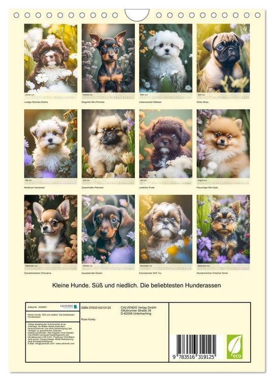 Produktbild: Kleine Hunde. S&uuml;&szlig; und niedlich. Die beliebtesten Hunderassen (Wandkalender 2026 DIN A4 hoch), CALVENDO Monatskalender