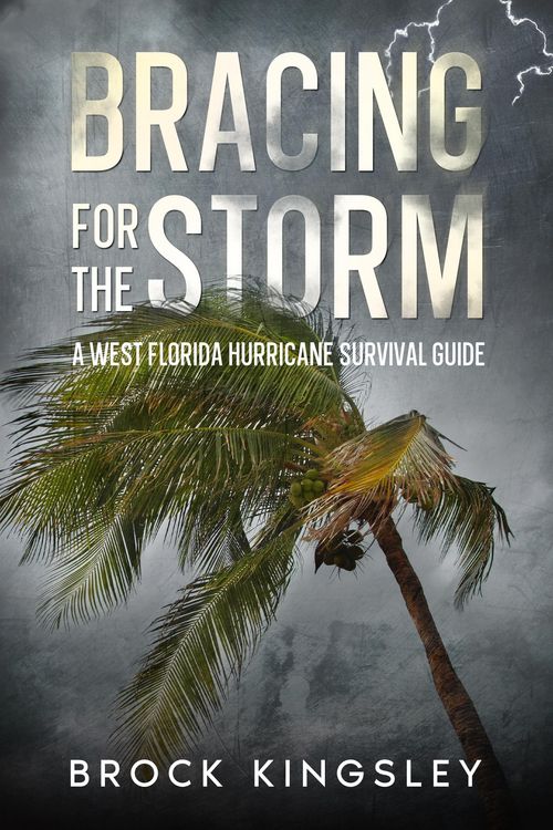 Produktbild: Bracing for the Storm