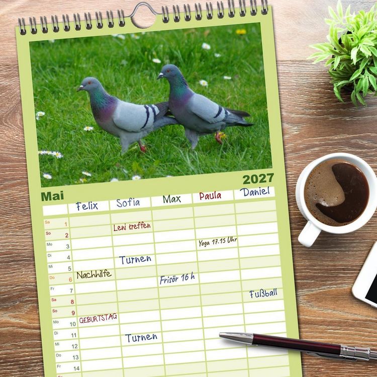 Produktbild: Familienplaner 2027 - Tauben in der Stadt mit 5 Spalten (Wandkalender, 21 x 45 cm) CALVENDO