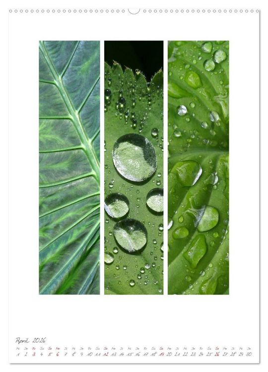 Produktbild: Natur Farben Dreiklang (hochwertiger Premium Wandkalender 2026 DIN A2 hoch), Kunstdruck in Hochglanz