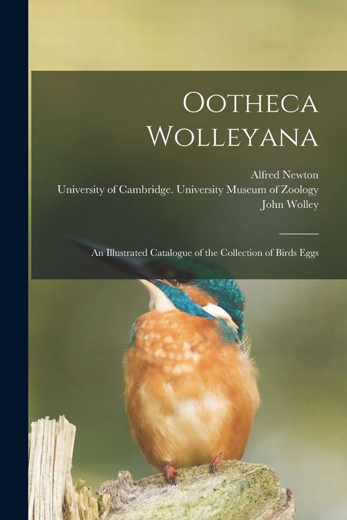Produktbild: Ootheca Wolleyana