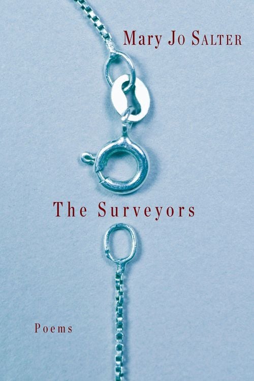 Produktbild: The Surveyors