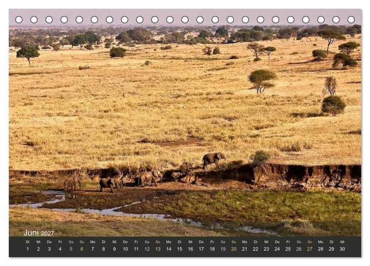 Produktbild: Elefanten (Tischkalender 2027 DIN A5 quer), CALVENDO Monatskalender