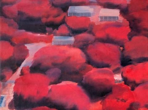 Produktbild: Photographs/paintings