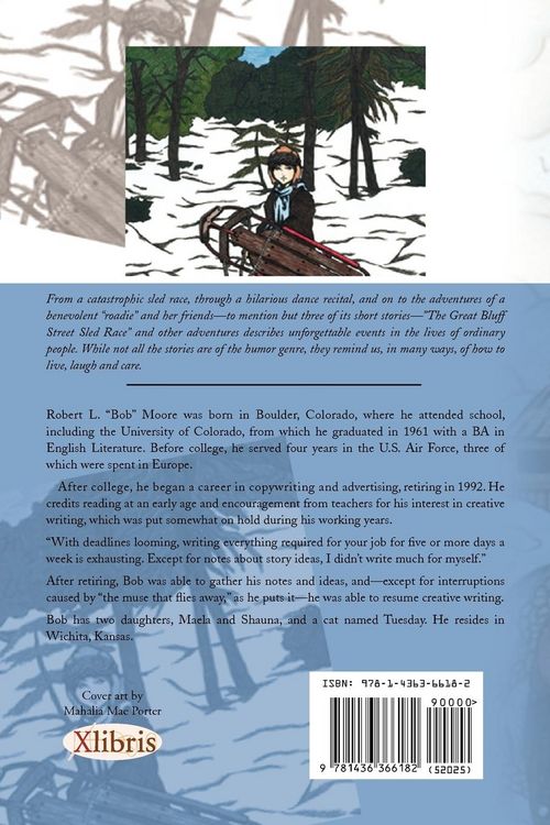 Produktbild: The Great Bluff Street Sled Race