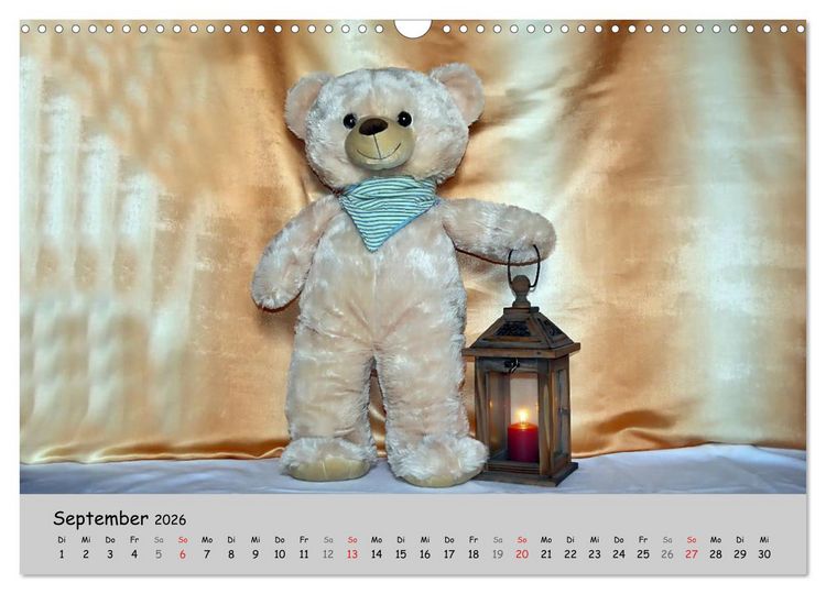 Produktbild: TEDDYB&Auml;R, OH TEDDYB&Auml;R... (Wandkalender 2026 DIN A3 quer), CALVENDO Monatskalender