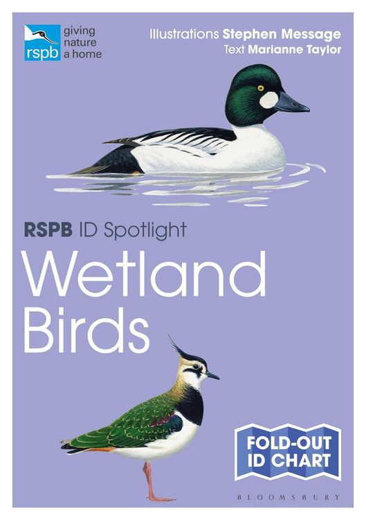 Produktbild: RSPB ID Spotlight - Wetland Birds