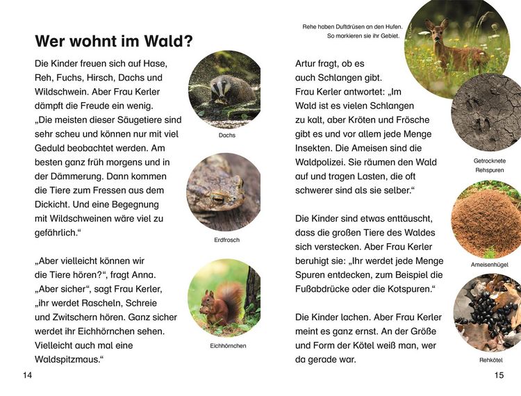 Produktbild: SUPERLESER! Klassenfahrt in den Wald