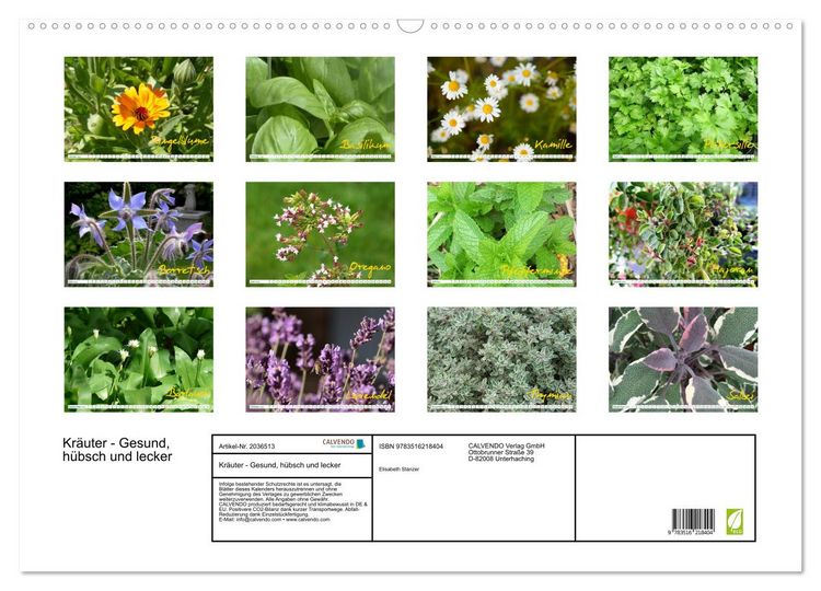 Produktbild: Kr&auml;uter - Gesund, h&uuml;bsch und lecker (Wandkalender 2026 DIN A2 quer), CALVENDO Monatskalender