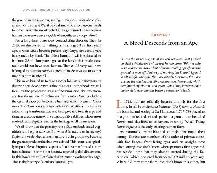 Produktbild: A Pocket History of Human Evolution