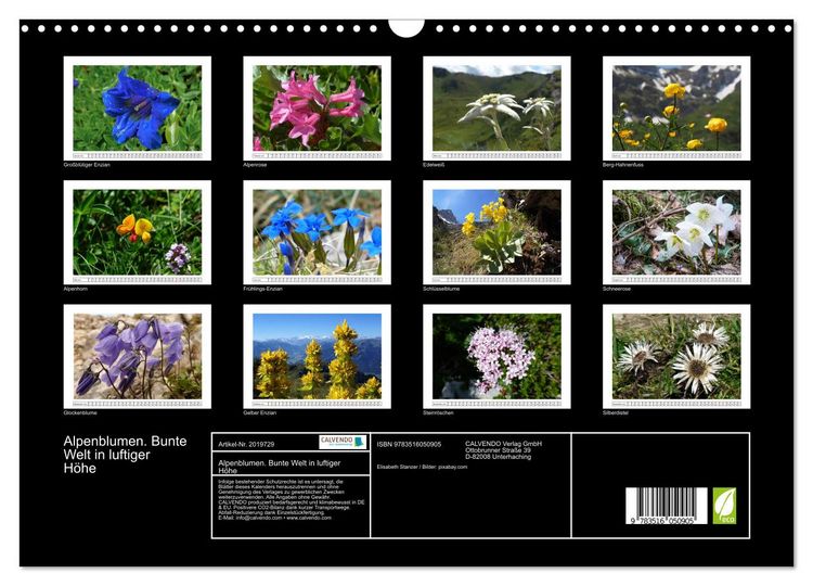 Produktbild: Alpenblumen. Bunte Welt in luftiger H&ouml;he (Wandkalender 2026 DIN A3 quer), CALVENDO Monatskalender