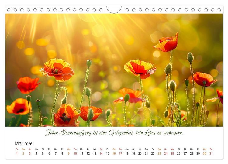Produktbild: Freu Dich Motivations-Kalender (Wandkalender 2026 DIN A4 quer), CALVENDO Monatskalender