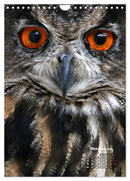 Produktbild: Eulen (Wandkalender 2026 DIN A4 hoch), CALVENDO Monatskalender