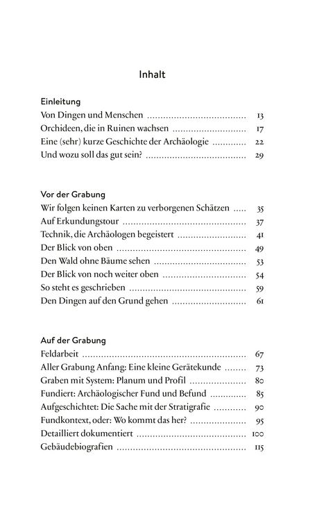 Produktbild: Staub, Steine, Scherben