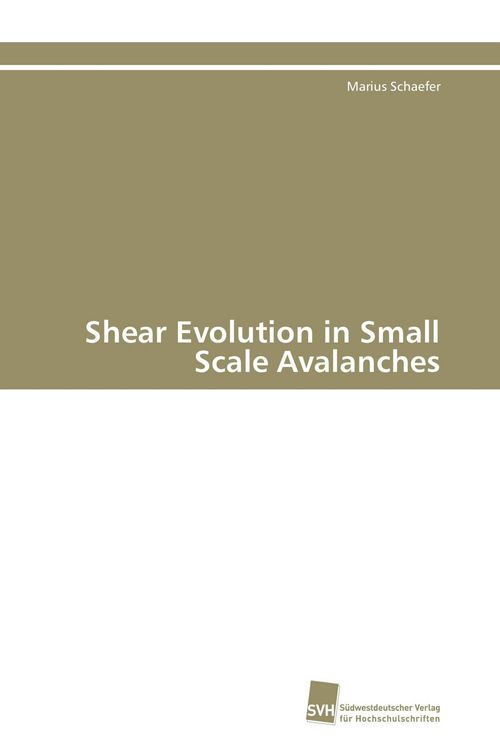 Produktbild: Shear Evolution in Small Scale Avalanches