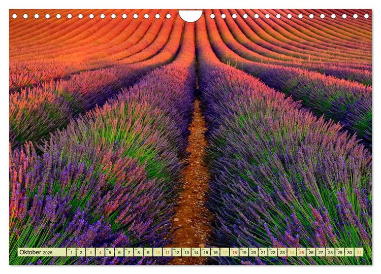 Produktbild: Traum-Ziele - Lavendel der Provence, Frankreich (Wandkalender 2026 DIN A4 quer), CALVENDO Monatskalender