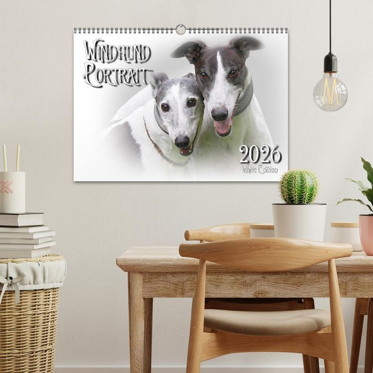 Produktbild: Windhund Portrait 2026 White Edition (Wandkalender 2026 DIN A3 quer), CALVENDO Monatskalender