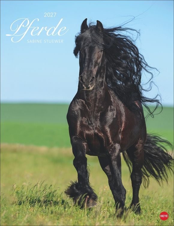 Produktbild: Pferde Classics Posterkalender 2027
