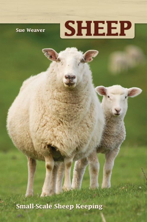 Produktbild: Sheep