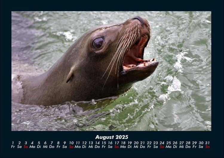 Produktbild: Der Tierkalender 2025 Fotokalender DIN A4