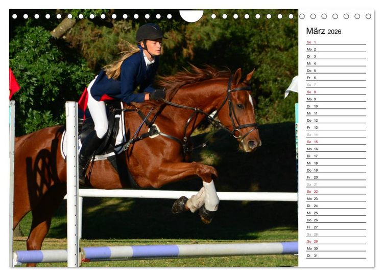 Produktbild: Mein Reitsport Kalender (Wandkalender 2026 DIN A4 quer), CALVENDO Monatskalender