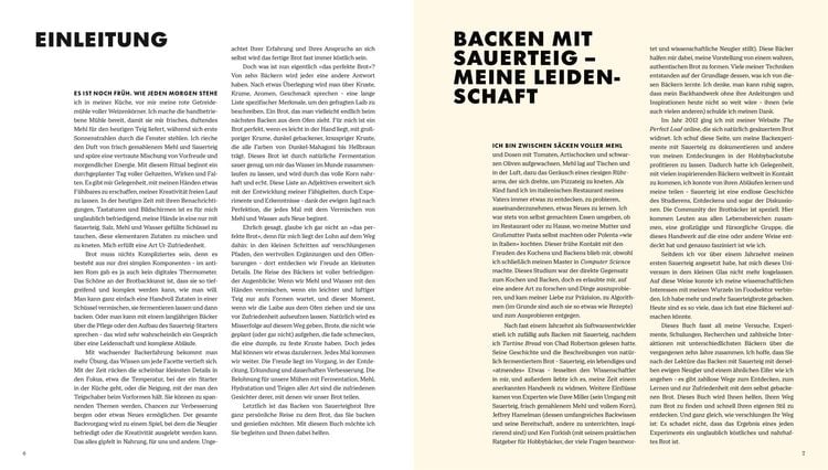 Das große Buch vom Sauerteig