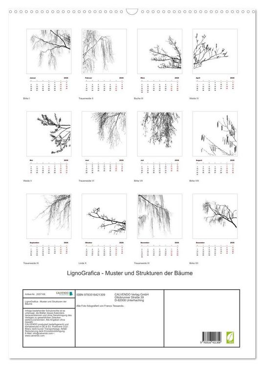 Produktbild: LignoGrafica - Muster und Strukturen der B&auml;ume (Wandkalender 2026 DIN A2 hoch), CALVENDO Monatskalender